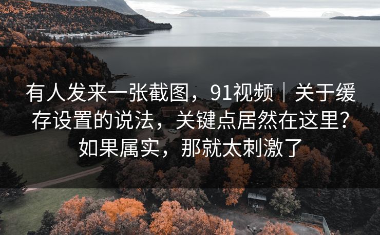 有人发来一张截图,91视频|关于缓存设置的说法,关键点居然在这里?如果属实,那就太刺激了 第1张 有人发来一张截图,91视频|关于缓存设置的说法,关键点居然在这里?如果属实,那就太刺激了 第1张